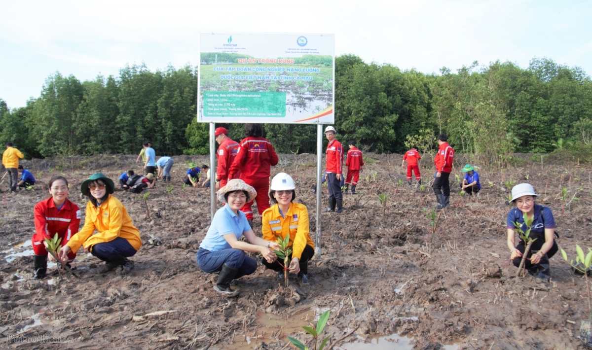 Cán bộ, đoàn viên, người lao động Petrovietnam tự hào khi tham gia trồng rừng, góp một phần bảo vệ môi trường, phục hồi hệ sinh thái và đồng hành với sự phát triển bền vững tại Cà Mau.