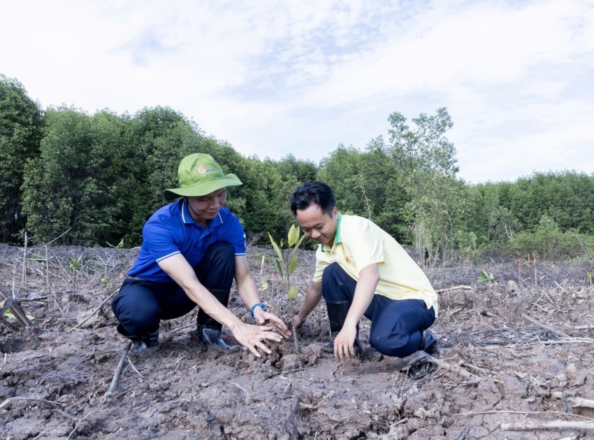Hơn 3.700 cây Đước đôi được Petrovietnam trồng trên diện tích 1,5 ha rừng ngập mặn Cà Mau trong chương trình “Trồng cây phục hồi rừng trên đất ngập nước” năm 2026.