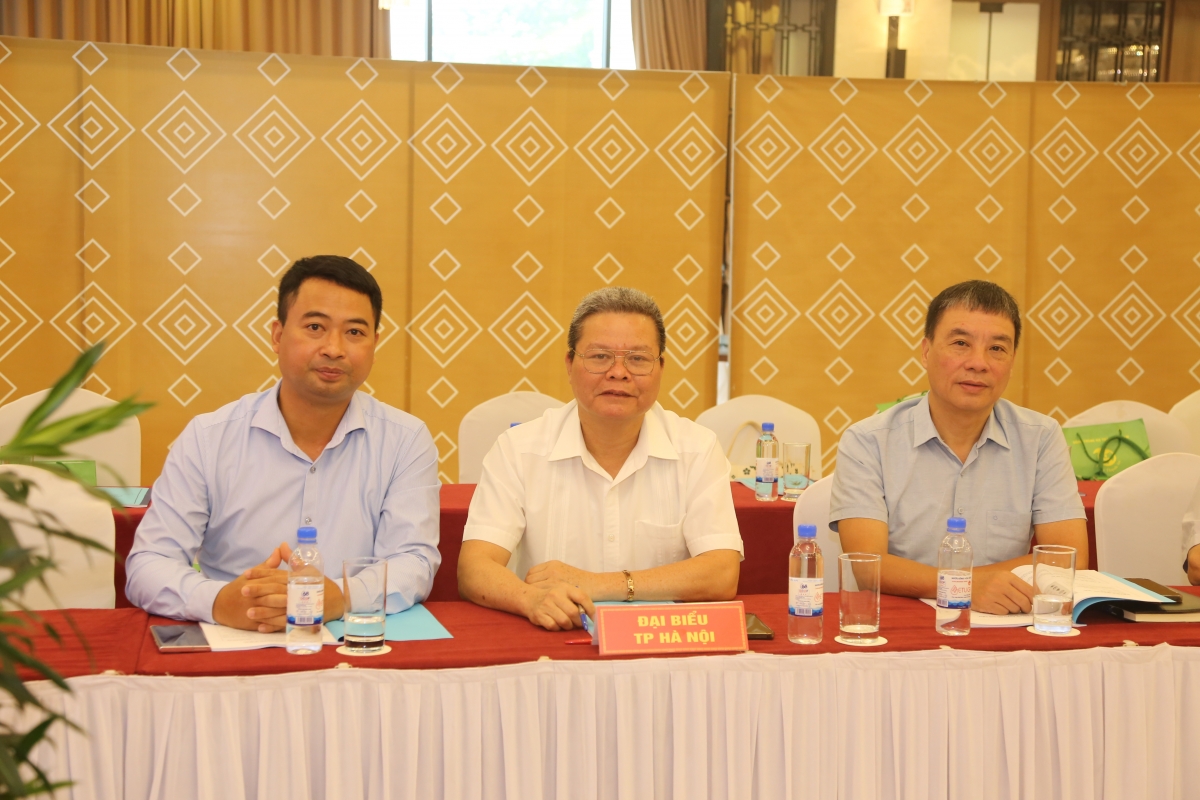 Phát huy vai trò người cao tuổi chuyển đổi số, chuyển đổi xanh, phát triển kinh tế bạc