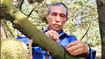 Tấm gương người cao tuổi làm kinh tế giỏi ở xã La Dạ, tỉnh Lâm Đồng