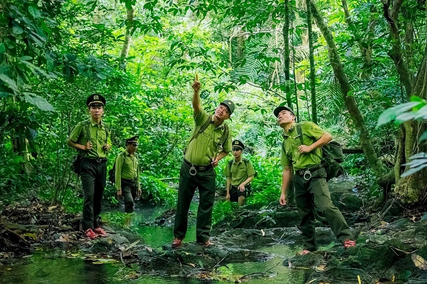 Người kể chuyện rừng trên không gian số