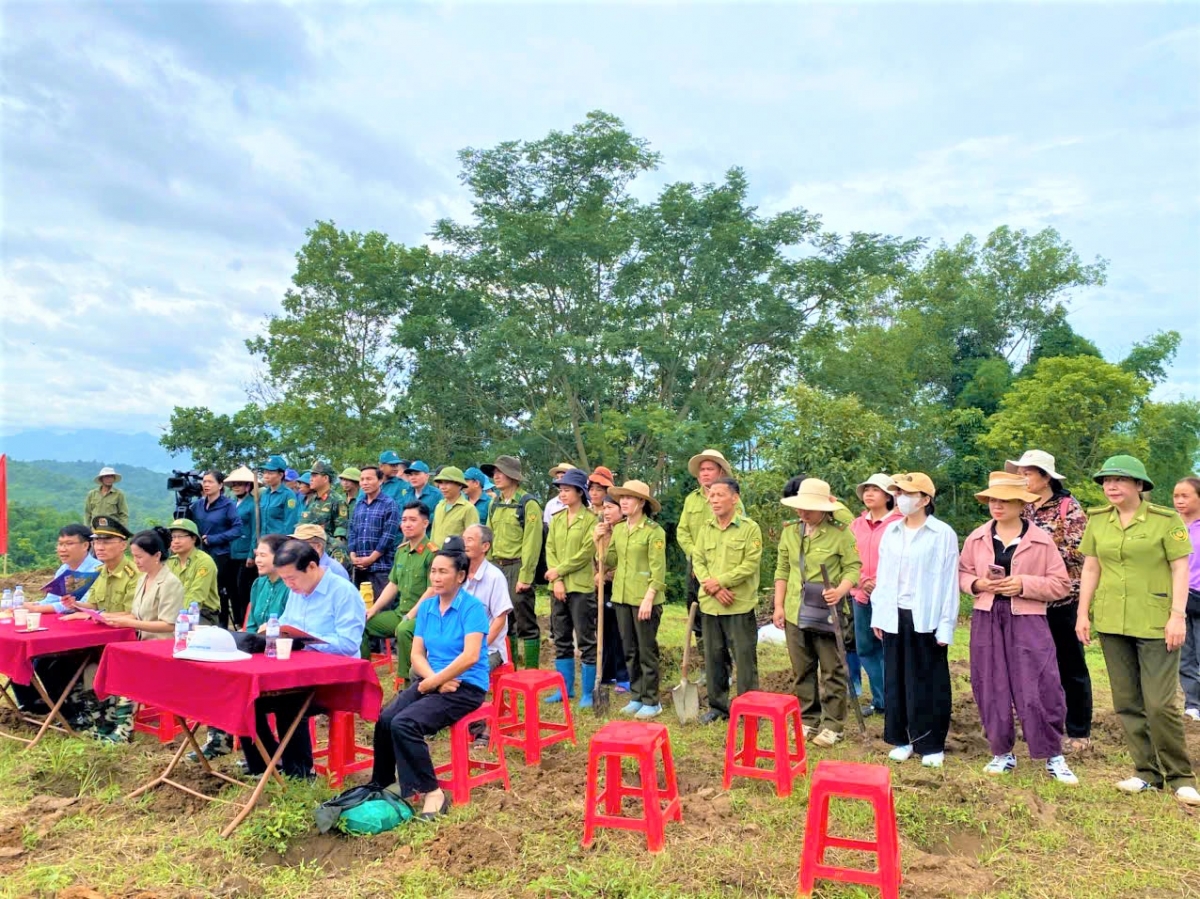 Quang cảnh Lễ phát động
