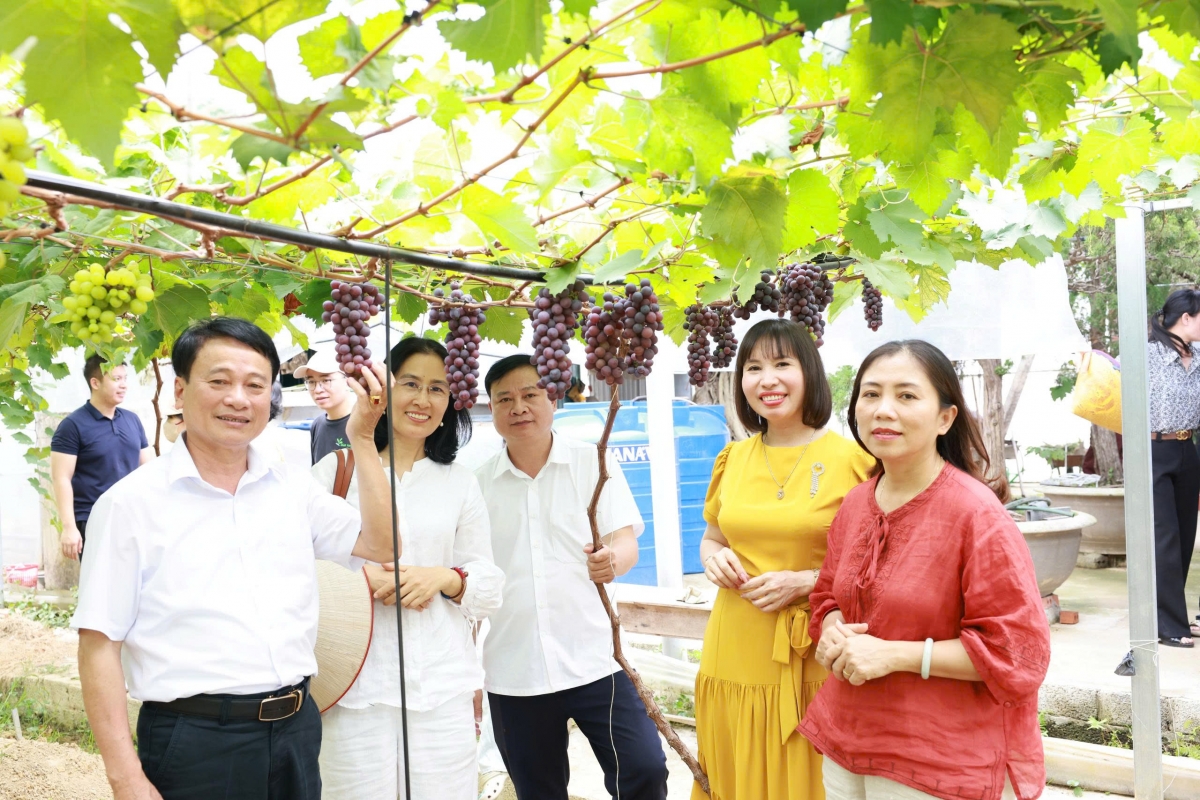 Nhiều mô hình kinh tế mới tại xã Quan Thành đã và đang đem lại thu nhập cao hơn cho người dân nới đây