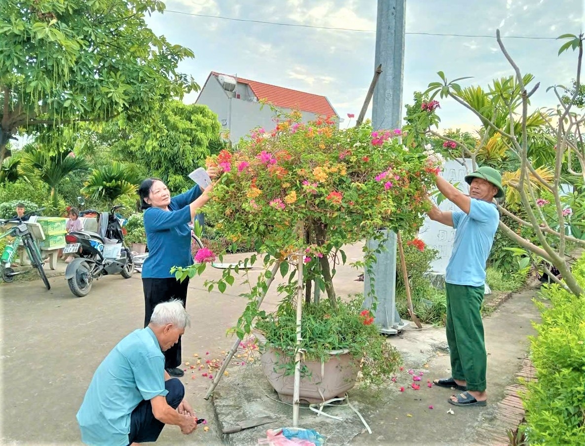 ... và chăm sóc cây tạo cảnh quan xanh sạch đẹp