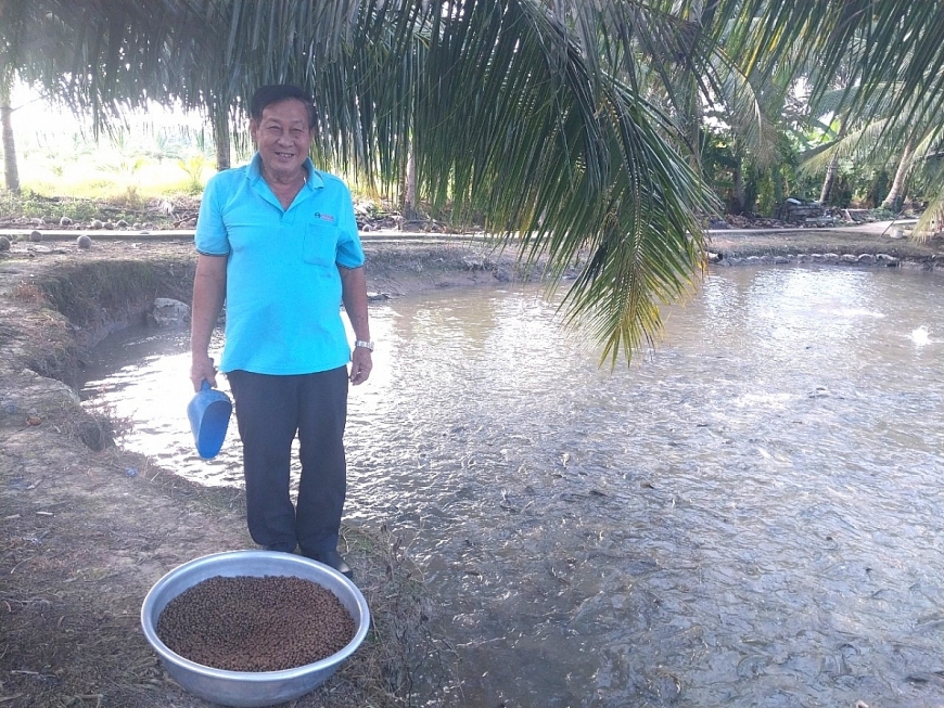 Ông Nguyễn Văn Phương cho cá ăn tại ao nuôi của gia đình.