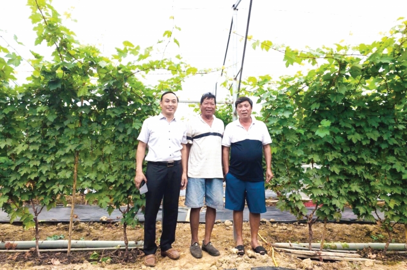 1-Ông Nguyễn Thường Lang (giữa) chụp ảnh lưu niệm với khách thăm quan vườn nho