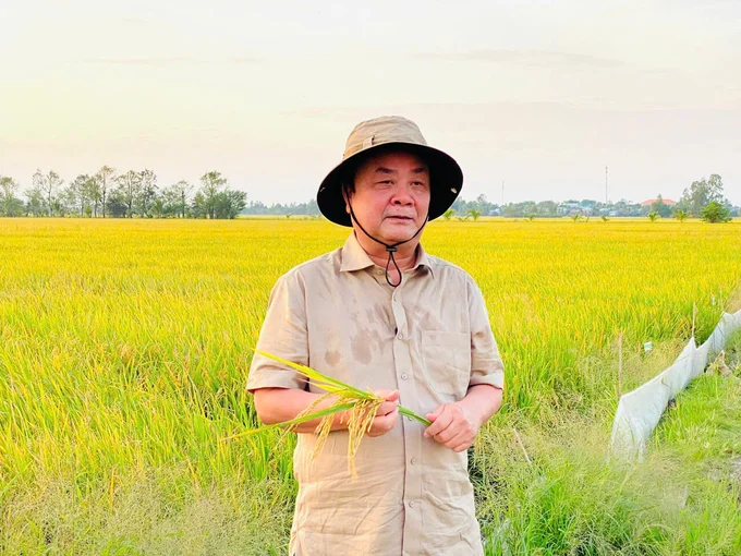 Mùa bạc trên cánh đồng