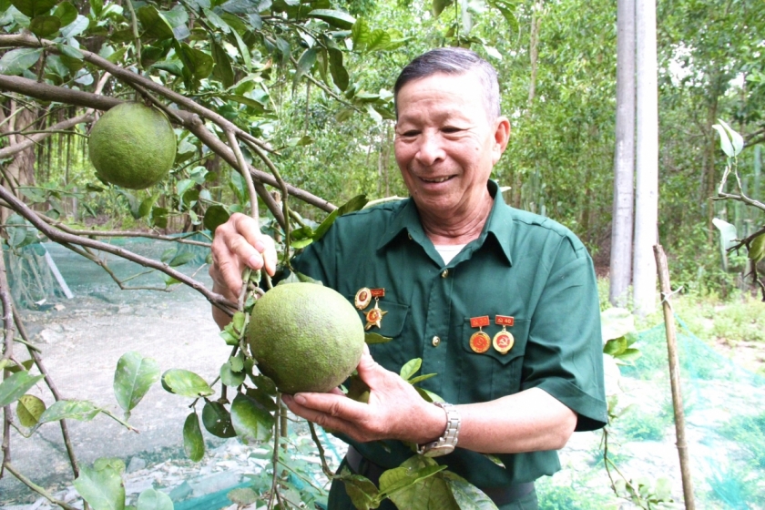 Cựu chiến binh Trần Lương Cương. Cựu chiến binh Trần Lương Cương.