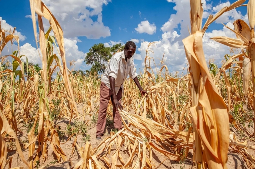 Năm 2026: Cường độ El Nino có thể từ mạnh đến siêu mạnh Năm 2026: Cường độ El Nino có thể từ mạnh đến siêu mạnh