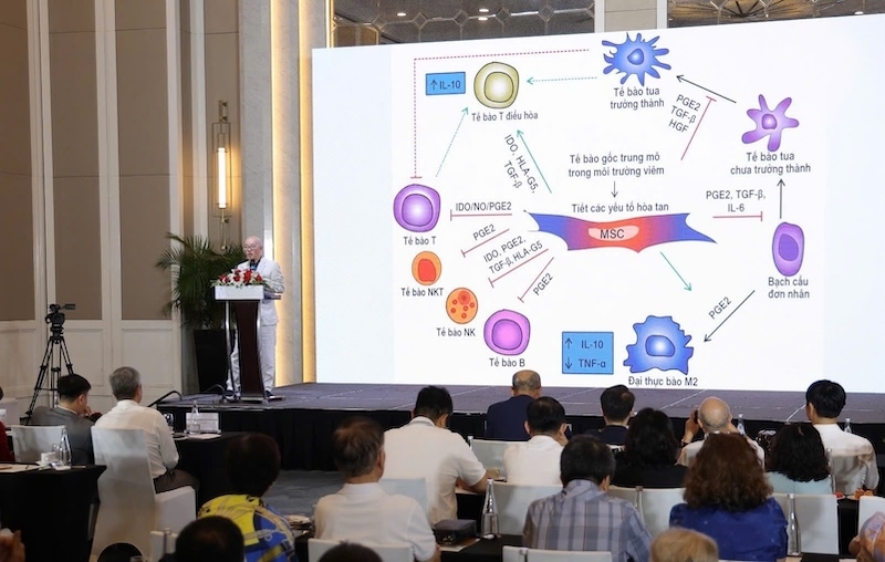 PGS.TS Phan Toàn Thắng: Muốn công nghệ tế bào gốc phát triển bền vững phải dựa trên bằng chứng khoa học PGS.TS Phan Toàn Thắng: Muốn công nghệ tế bào gốc phát triển bền vững phải dựa trên bằng chứng khoa học