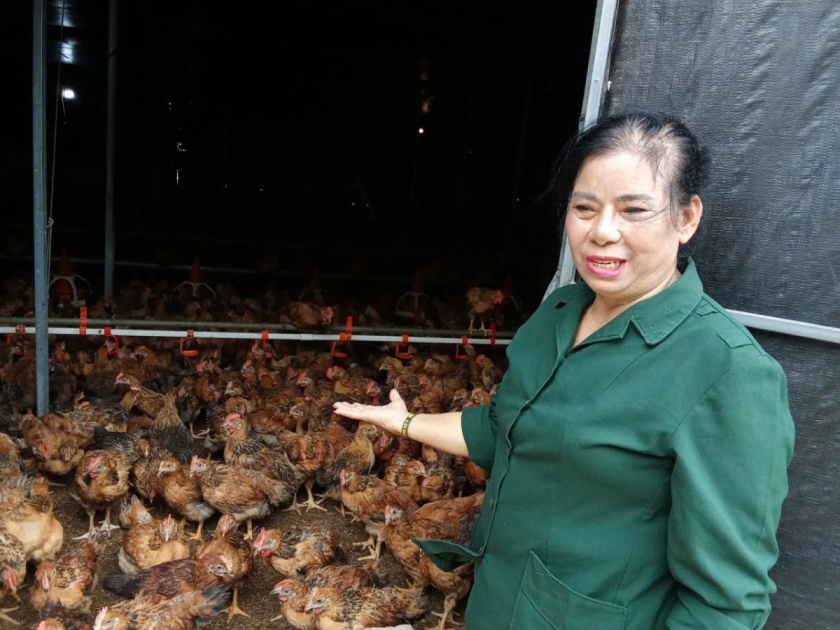 Cựu TNXP Nguyễn Thị Thanh Tơ. Cựu TNXP Nguyễn Thị Thanh Tơ.