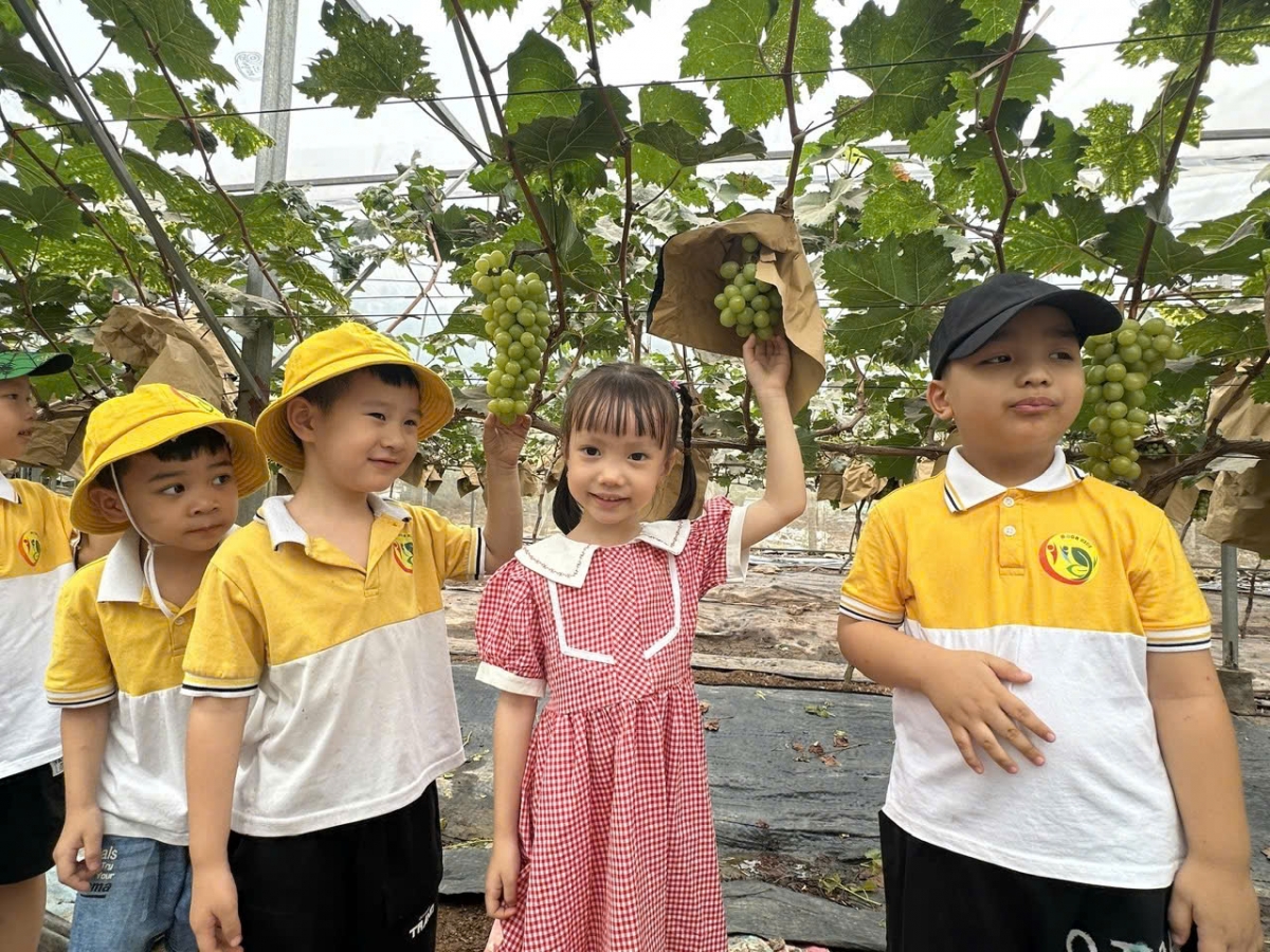 Học sinh thích thú khi được trải nghiệm tại vườn nho của ông Nguyễn Văn Thuấn.
