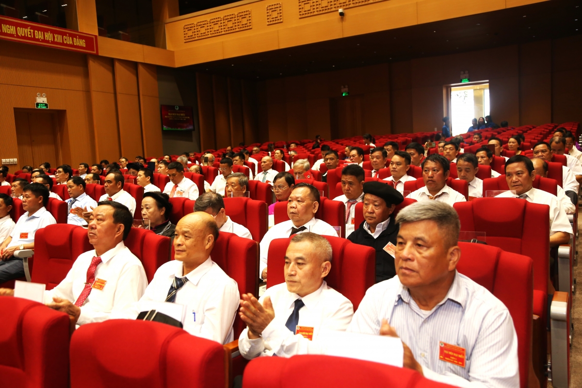 Các đại biểu tham dự Đại hội