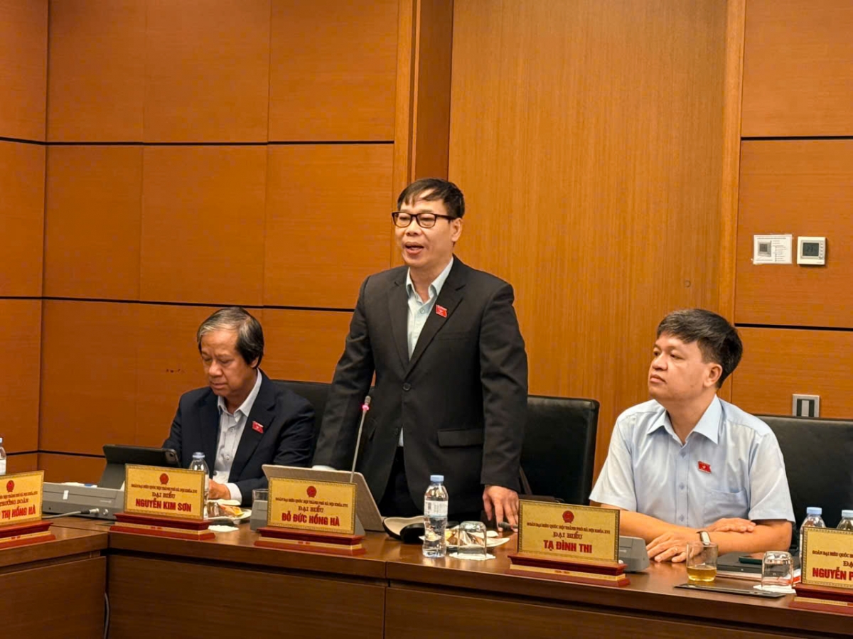 Đại biểu Đỗ Đức Hồng Hà phát  biểu về dự án luật Dầu khí (sửa đổi).