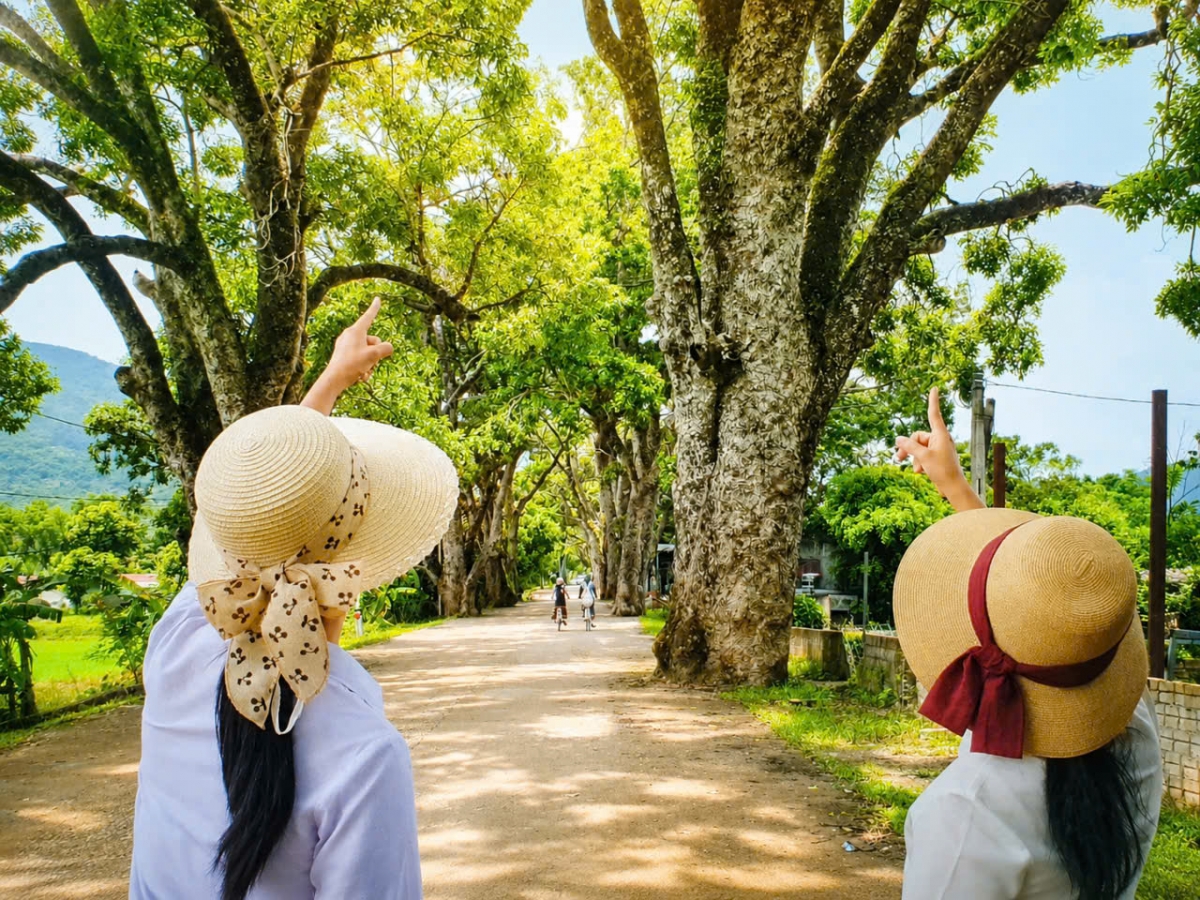 Về thăm hàng cây di sản Việt Nam ở đất Cổ Định xưa