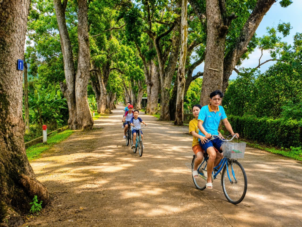 Về thăm hàng cây di sản Việt Nam ở đất Cổ Định xưa Về thăm hàng cây di sản Việt Nam ở đất Cổ Định xưa
