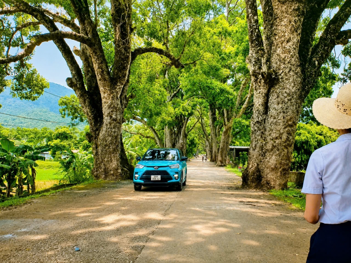 Về thăm hàng cây di sản Việt Nam ở đất Cổ Định xưa Về thăm hàng cây di sản Việt Nam ở đất Cổ Định xưa