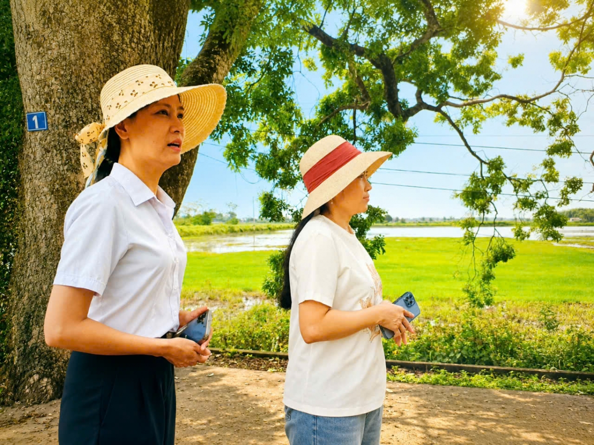 Về thăm hàng cây di sản Việt Nam ở đất Cổ Định xưa Về thăm hàng cây di sản Việt Nam ở đất Cổ Định xưa