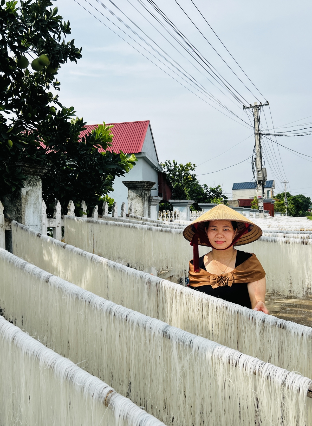 Chị Lại Thị Hồng (cơ sở miến gạo Toàn Hồng) đang phươi miến bằng sào nứa