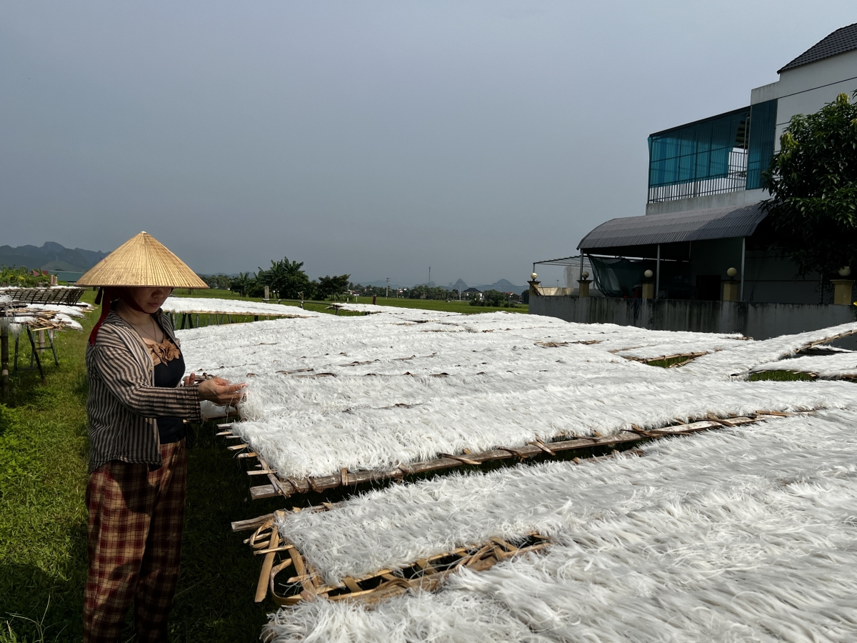 Miến gạo Tân Giao phơi trên những chiếc trành bằng tre, nứa