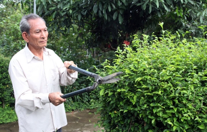 Thú vui điền viên và sự thư thái