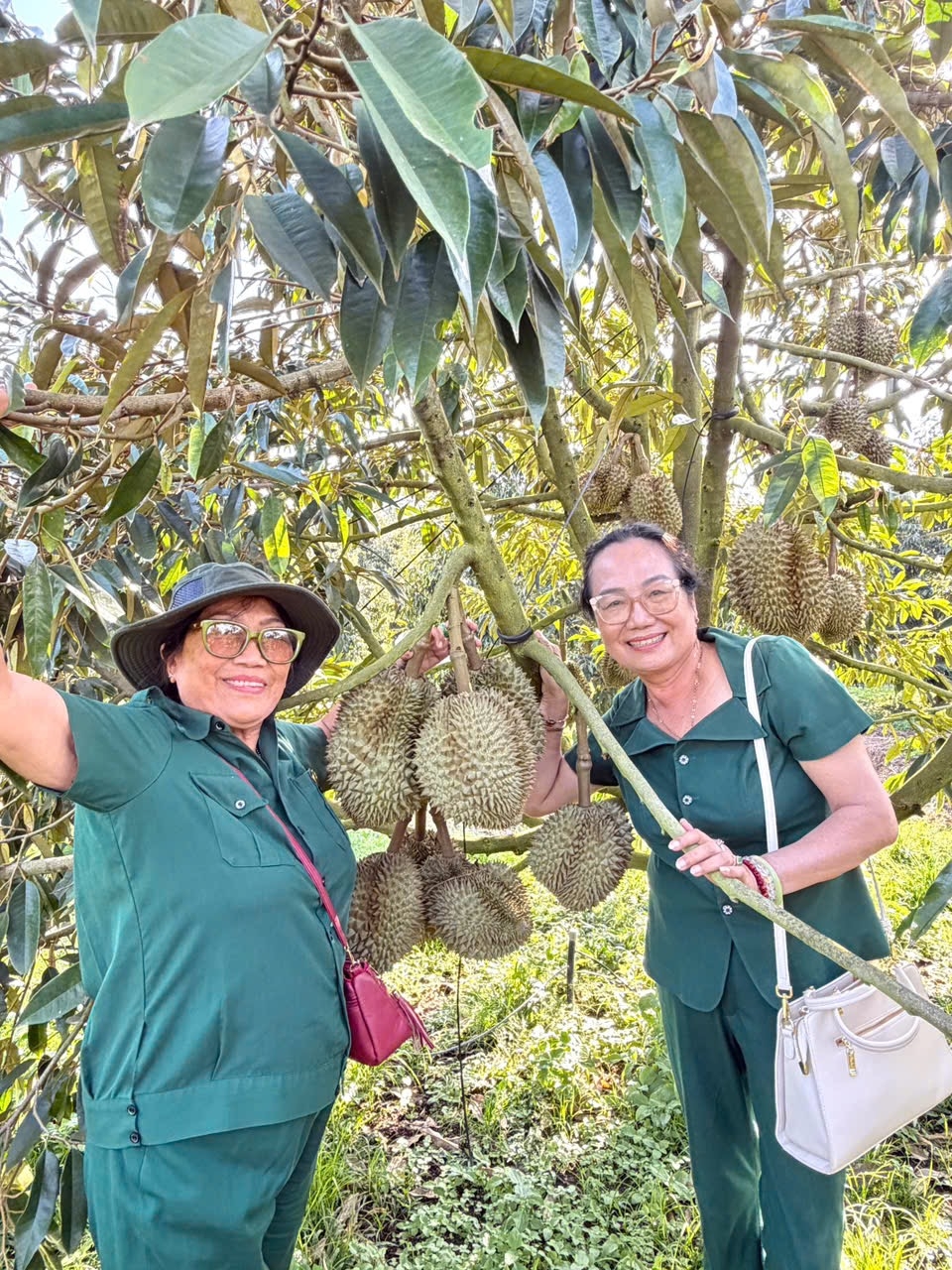 Tác giả ( bên phải) trong vườn sầu riêng tại xã La Dạ Người cao tuổi làm kinh tế giỏi, góp sức dựng xây quê hương
