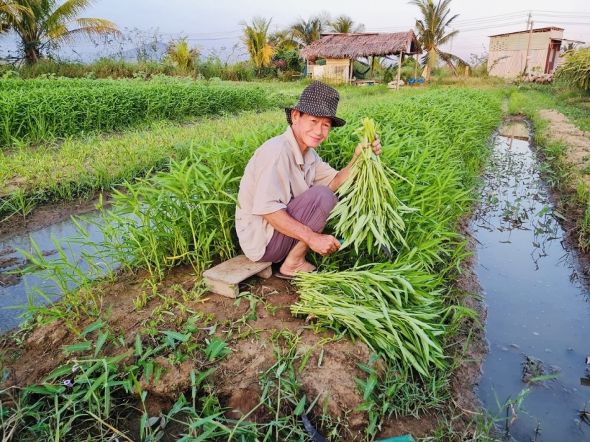 Người cao tuổi làm kinh tế giỏi, góp sức dựng xây quê hương Người cao tuổi làm kinh tế giỏi, góp sức dựng xây quê hương