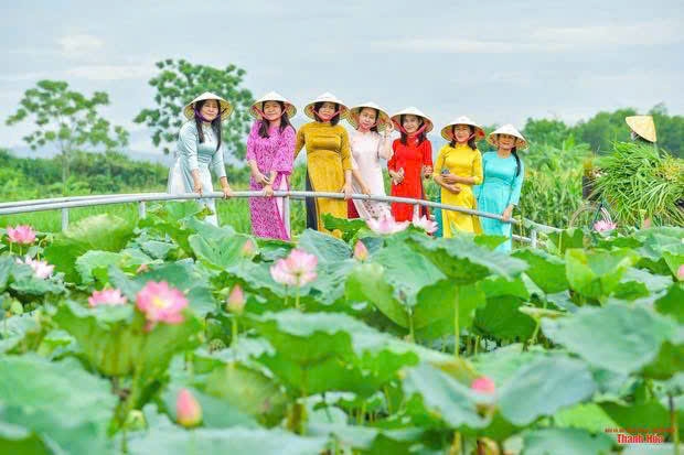 Ban Quản lý Di sản Thành Nhà Hồ chuẩn bị chu đáo các điều kiện phục vụ khách du lịch dịp Quốc khánh 2/9 và những tháng cuối năm 2026 Ban Quản lý Di sản Thành Nhà Hồ chuẩn bị chu đáo các điều kiện phục vụ khách du lịch dịp Quốc khánh 2/9 và những tháng cuối năm 2026