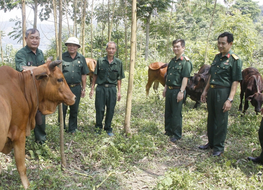 Nhiều CCB cao tuổi đến tham quan, học hỏi mô hình của ông Hoàng Ngọc Đề tại xã Yên Bình, tỉnh Lào Cai.