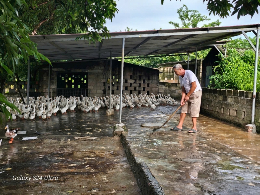 Công việc hằng ngày của ông Khoa. Công việc hằng ngày của ông Khoa.