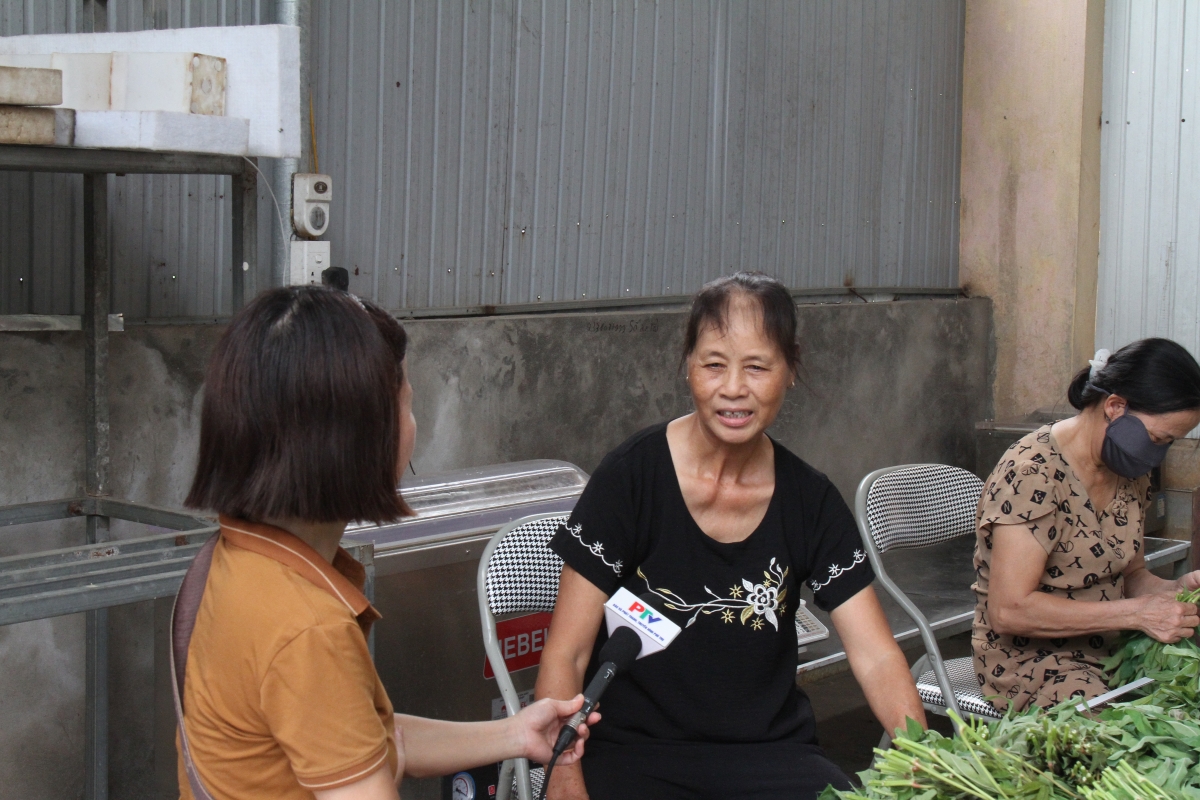 Từ ngọn rau quê đến sinh kế cho người cao tuổi ở Liên Gia Trang