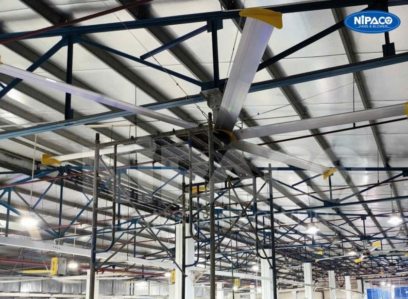 Quạt trần công nghiệp HVLS Nipaco Nghĩa Phát: Đột phá làm mát không gian rộng, tối ưu chi phí vận hành Quạt trần công nghiệp HVLS Nipaco Nghĩa Phát: Đột phá làm mát không gian rộng, tối ưu chi phí vận hành