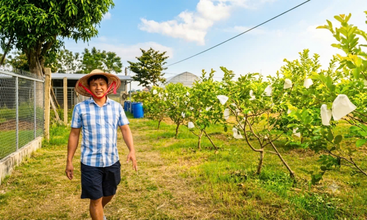 Xây dựng trang trại nuôi hươu, 8X vạch đường làm giàu Xây dựng trang trại nuôi hươu, 8X vạch đường làm giàu