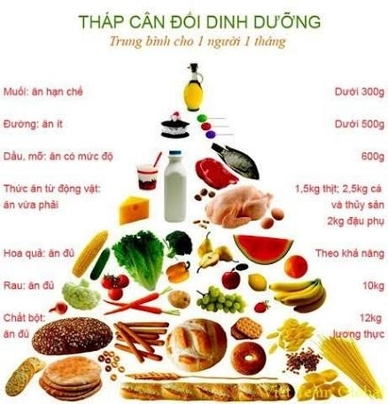 Tháp cân đối dinh dưỡng người cao tuổi cần biết