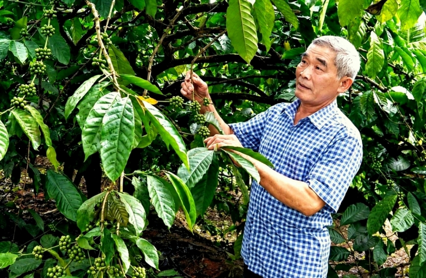 Lão nông cao tuổi tâm huyết làm việc thiện Lão nông cao tuổi tâm huyết làm việc thiện