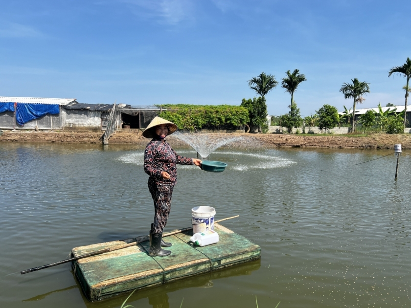 Bà Nguyễn Thị Sánh cho cá ăn tại trang trại. Bà Nguyễn Thị Sánh cho cá ăn tại trang trại.