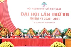 THÔNG BÁO: Kết quả Đại hội VII, nhiệm kỳ 2026-2031 của Hội Người cao tuổi Việt Nam
