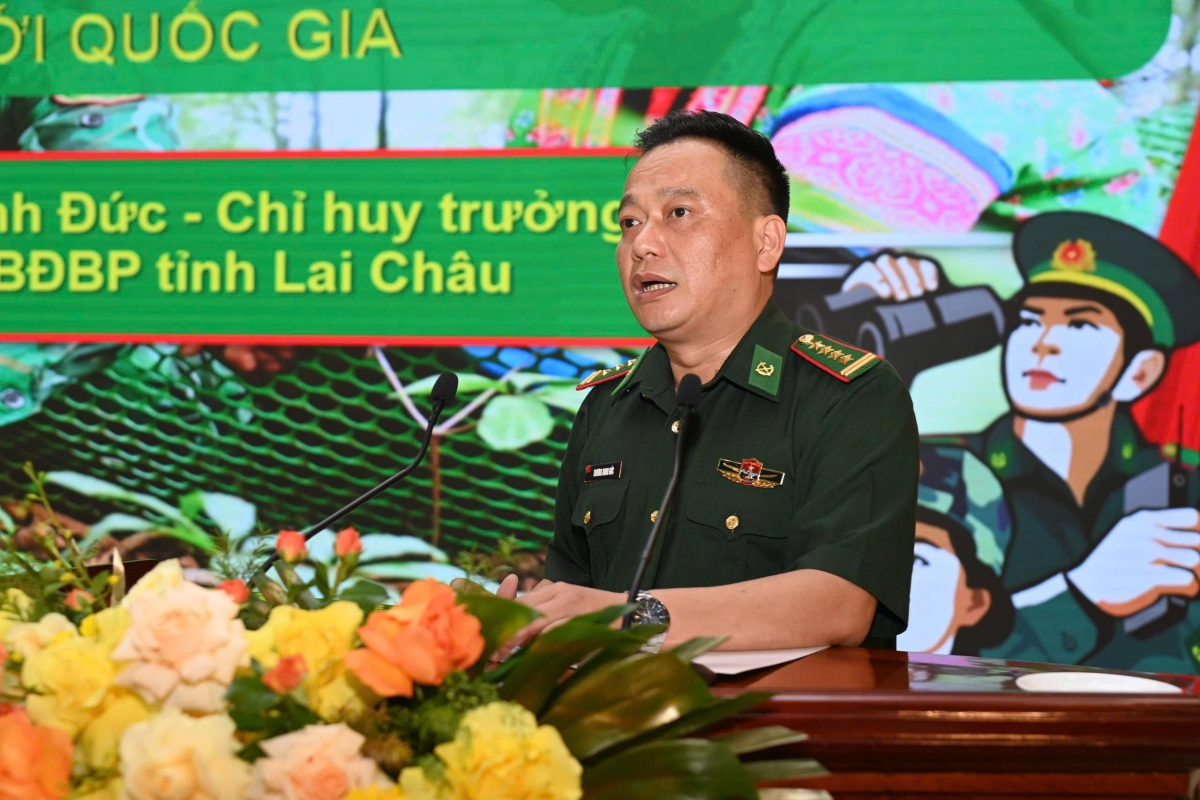 Sâm Lai Châu – Tinh hoa đại ngàn Tây Bắc