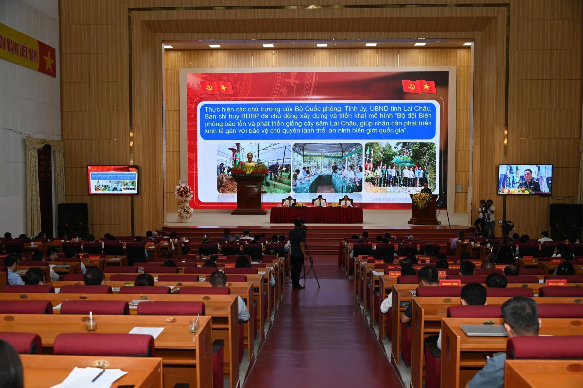 Sâm Lai Châu – Tinh hoa đại ngàn Tây Bắc