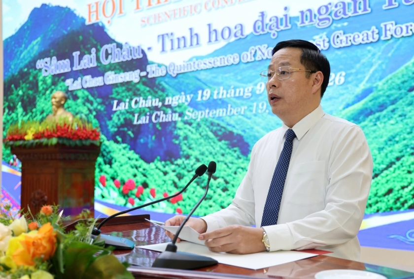 Sâm Lai Châu – Tinh hoa đại ngàn Tây Bắc