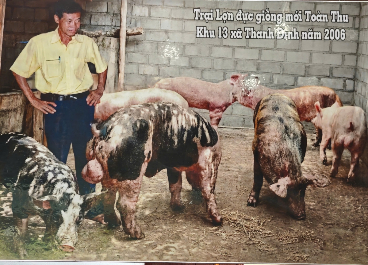 Người nông dân Phú Thọ làm giàu từ chăn nuôi công nghệ cao Người nông dân Phú Thọ làm giàu từ chăn nuôi công nghệ cao
