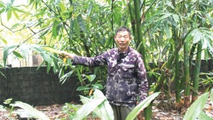 Việt Nam xuất siêu 1,47 tỉ USD trong 2 tháng đầu năm