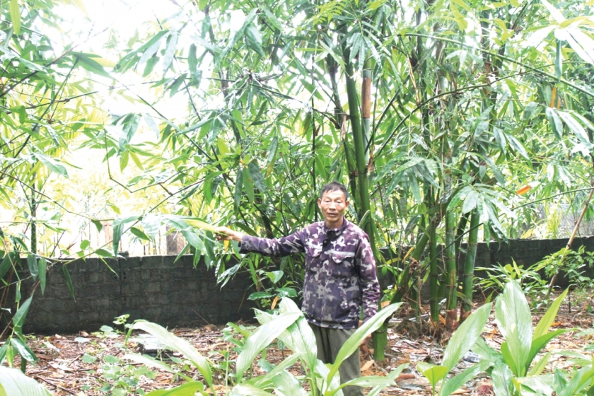 Ông Nguyễn Văn Dé. Ông Nguyễn Văn Dé.