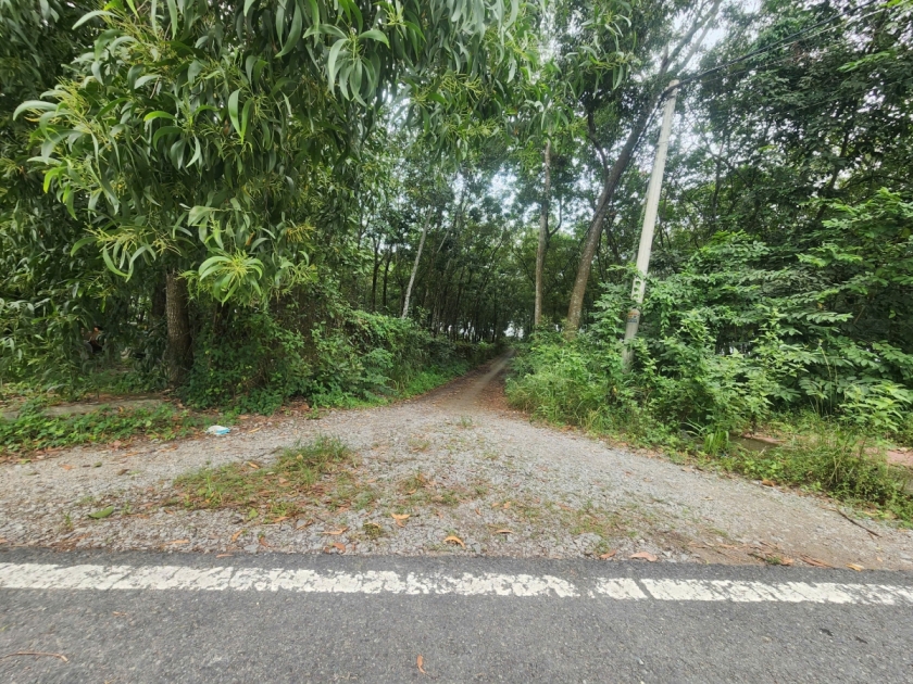 Lối đi chung đang tranh chấp