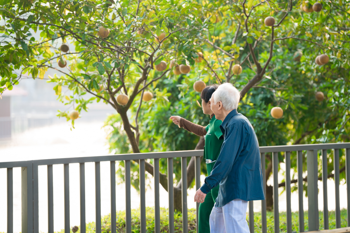 Ngày Tim mạch Thế giới: Đừng xem nhẹ những dấu hiệu bất thường ở tuổi già Ngày Tim mạch Thế giới: Đừng xem nhẹ những dấu hiệu bất thường ở tuổi già