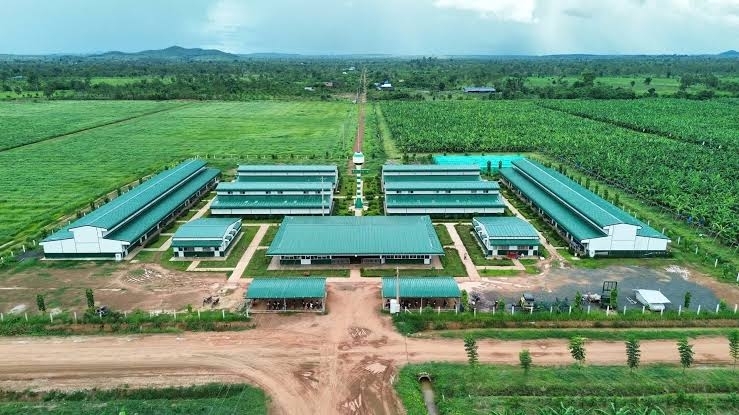 Công ty cổ phần Nông nghiệp Trường Hải bị xử phạt hơn 90 triệu đồng