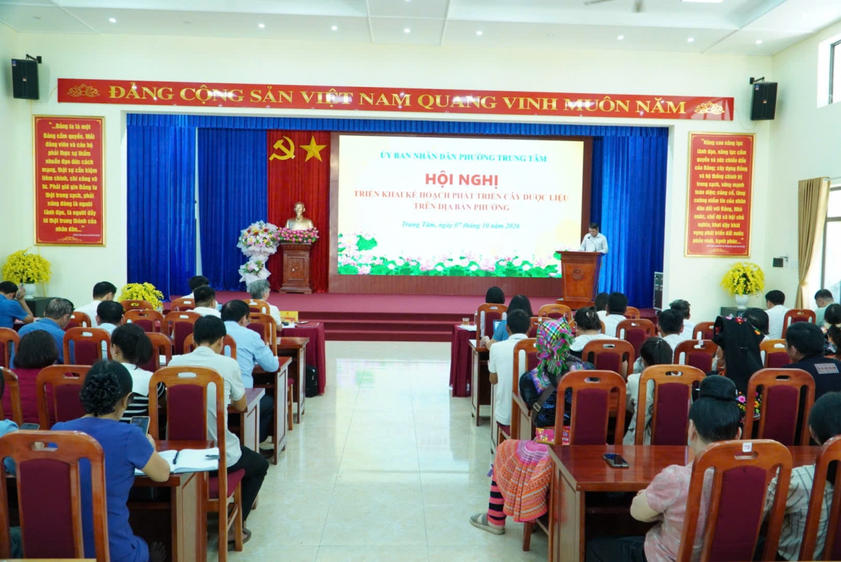 Từ cây thuốc bản địa đến sinh kế bền vững: Mở hướng phát triển dược liệu ở phường Trung Tâm Từ cây thuốc bản địa đến sinh kế bền vững: Mở hướng phát triển dược liệu ở phường Trung Tâm