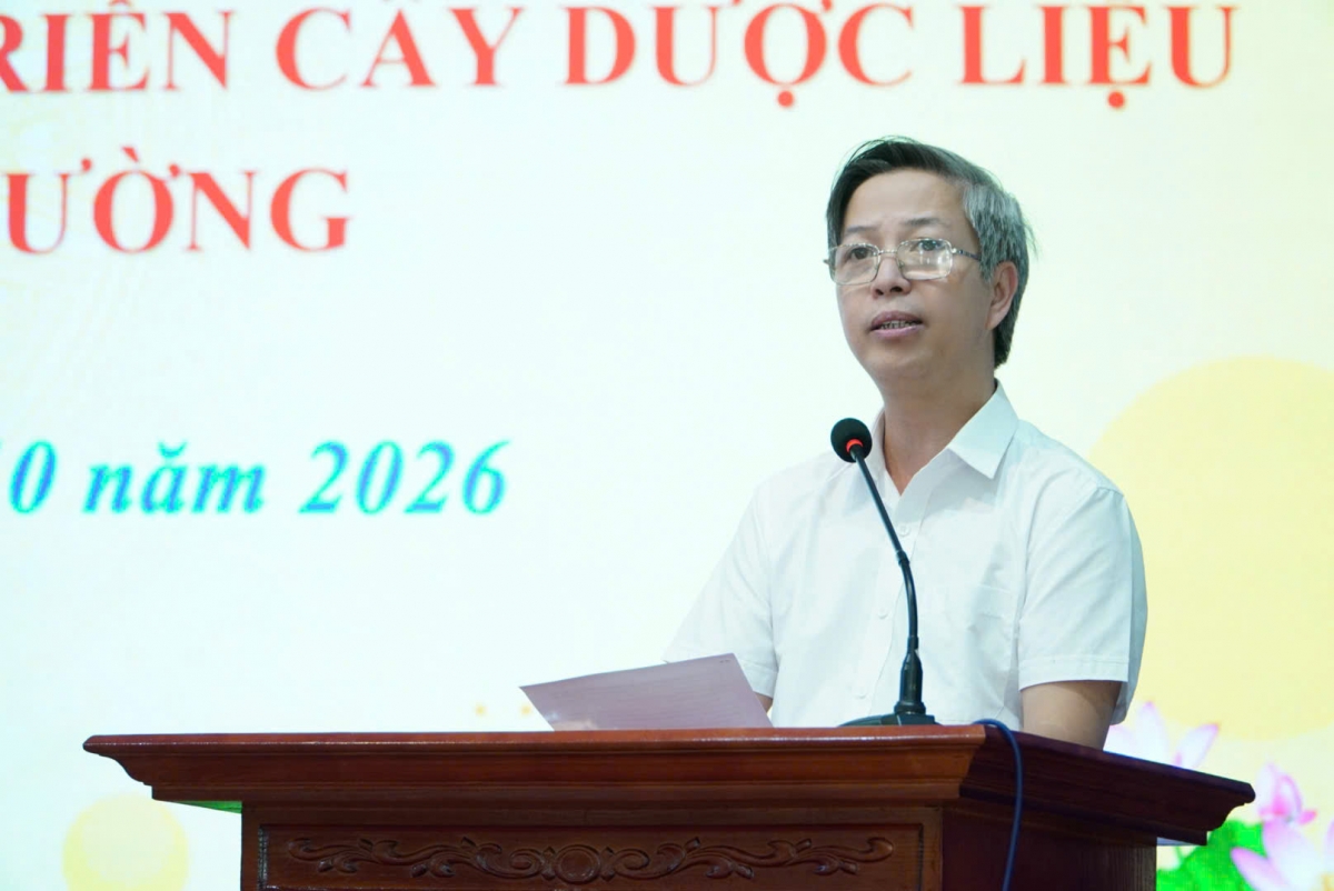 Từ cây thuốc bản địa đến sinh kế bền vững: Mở hướng phát triển dược liệu ở phường Trung Tâm Từ cây thuốc bản địa đến sinh kế bền vững: Mở hướng phát triển dược liệu ở phường Trung Tâm