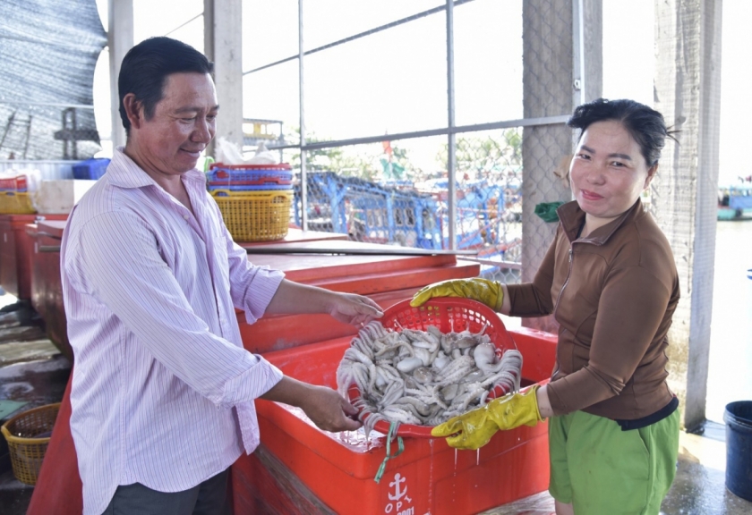 Vợ chồng ông Lê Minh Thơm phân loại mực. Vợ chồng ông Lê Minh Thơm phân loại mực.