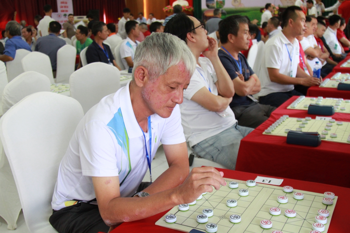 Gần 200 kỳ thủ tranh tài tại Giải Cờ tướng trung cao tuổi quốc gia năm 2026